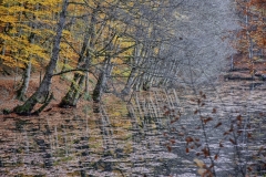 HDR Tone-Mapped with DPHDR6