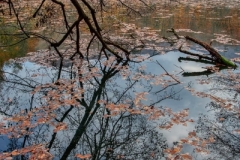 manzara-fotografi-0034
