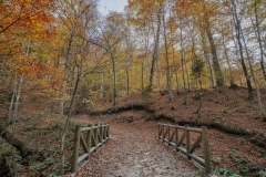 HDR Tone-Mapped with DPHDR6