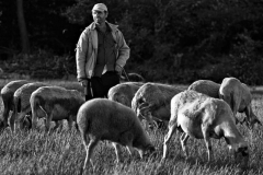 portre-fotografi-0017