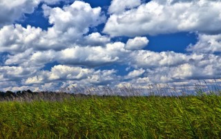 hdr photofocus