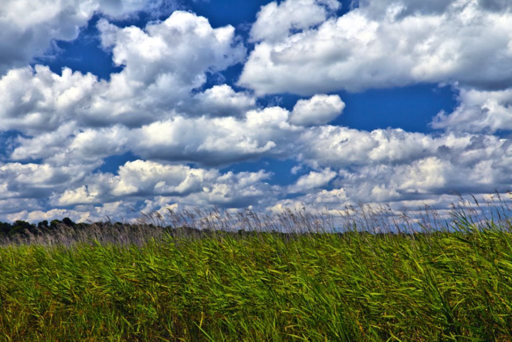 hdr photofocus