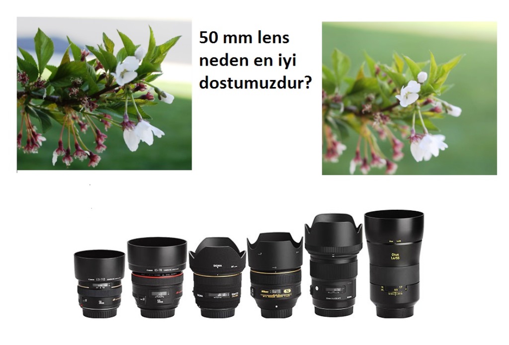50 mm kapak