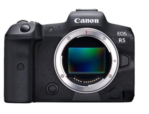 Canon EOS R5 Yolda…